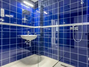 Pronájem bytu 2+1, Praha - Vinohrady, Italská, 59 m2