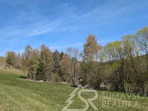 Prodej pozemku, Hartmanice - Chlum, 46489 m2