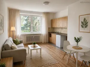 Pronájem bytu 1+kk, Frýdek-Místek, Slezská, 23 m2