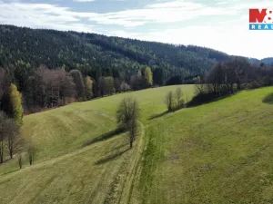 Prodej louky, Pastviny, 34107 m2