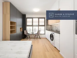 Pronájem bytu 1+kk, Brno, Bratislavská, 23 m2