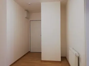Pronájem bytu 1+kk, Praha - Vršovice, Karpatská, 38 m2