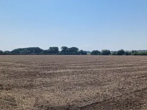 Prodej pozemku pro bydlení, Horka nad Moravou, 43000 m2