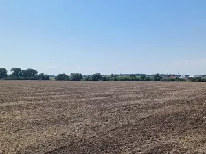 Prodej pozemku pro bydlení, Horka nad Moravou, 43000 m2