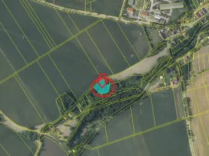 Prodej podílu lesa, Pertoltice, 4226 m2