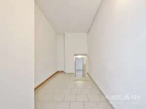 Prodej obchodního prostoru, Kamenice nad Lipou, Dobšova, 270 m2