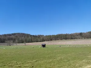 Prodej pozemku pro bydlení, Horažďovice, 2250 m2