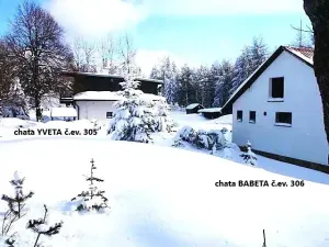 Prodej - jiné, Telnice, 323 m2