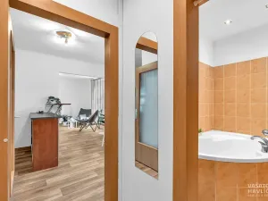 Prodej bytu 1+1, Hradec Králové, Horova, 44 m2