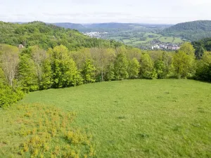 Prodej louky, Děčín, 27274 m2