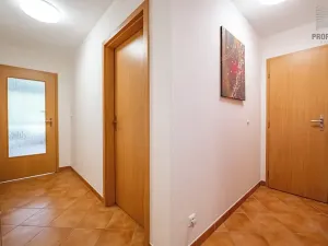 Prodej bytu 2+kk, Brno, Trýbova, 56 m2