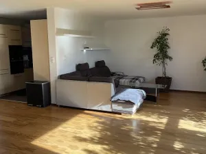 Pronájem rodinného domu, Syrovice, 140 m2