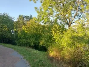 Prodej pozemku, Hlince, 192 m2