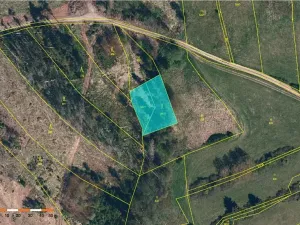 Prodej lesa, Vyskytná nad Jihlavou, 1283 m2