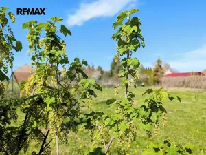 Prodej chaty, Tuněchody, 7 m2