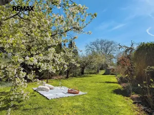 Prodej zahrady, Tuněchody, 1715 m2