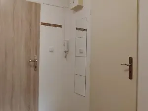 Pronájem bytu 1+kk, Brno, Hlinky, 27 m2