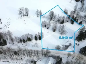 Prodej pozemku pro bydlení, Říčky v Orlických horách, 5940 m2