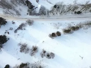Prodej pozemku pro bydlení, Říčky v Orlických horách, 5940 m2