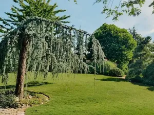 Prodej komerční nemovitosti, Hradec Králové, Petra Jilemnického, 950 m2