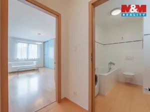 Pronájem bytu 1+kk, Praha - Braník, Na vinohradu, 34 m2