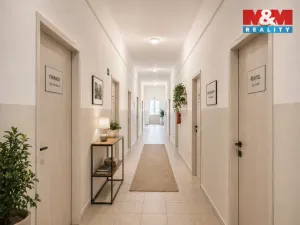 Prodej činžovního domu, Veselí nad Lužnicí - Veselí nad Lužnicí II, Nádražní, 1121 m2