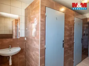 Prodej činžovního domu, Veselí nad Lužnicí - Veselí nad Lužnicí II, Nádražní, 1121 m2