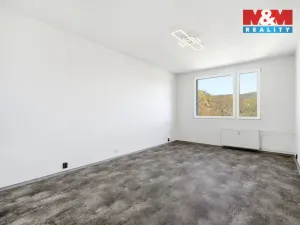 Prodej bytu 2+1, Ústí nad Labem - Neštěmice, Sibiřská, 62 m2