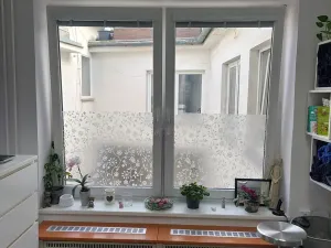 Pronájem kanceláře, Brno, Starobrněnská, 16 m2