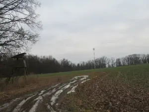 Dražba louky, Račice nad Trotinou, 18528 m2