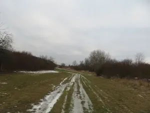 Dražba louky, Račice nad Trotinou, 18528 m2