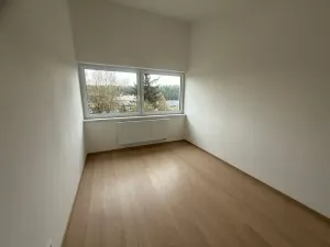 Pronájem rodinného domu, Plzeň, Dlasková, 108 m2