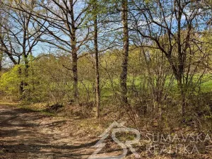 Prodej pozemku, Sušice - Humpolec, 165 m2