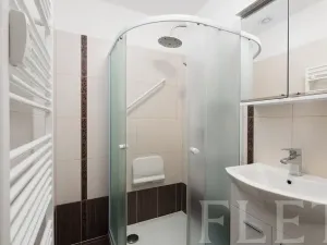 Pronájem bytu 2+1, Praha - Žižkov, Loudova, 61 m2