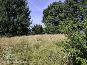 Dražba rodinného domu, Jindřichovice pod Smrkem, 87 m2