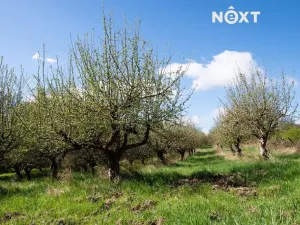 Prodej rodinného domu, Jestřebí, 263 m2