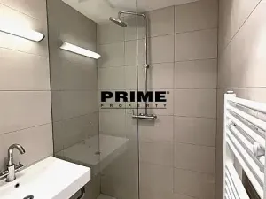 Pronájem bytu 3+1, Praha - Bubeneč, U akademie, 130 m2