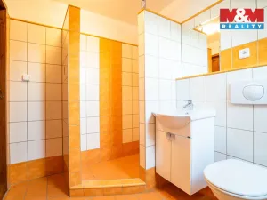 Prodej rodinného domu, Keblice, 290 m2