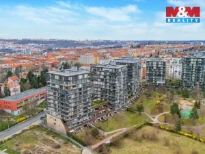Prodej bytu 1+kk, Praha - Žižkov, Malešická, 38 m2