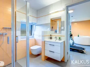 Prodej rodinného domu, Blešno, 214 m2