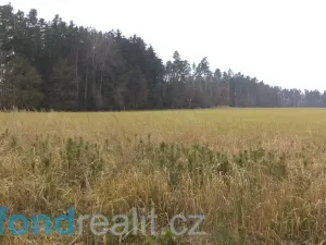 Prodej pole, Malovice, 5875 m2