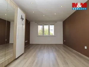 Pronájem bytu 2+1, Ostrov, S. K. Neumanna, 66 m2