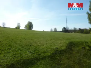 Prodej bytu 3+1, Náchod - Staré Město nad Metují, Václavická, 71 m2