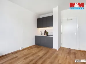 Prodej bytu 1+kk, Praha - Chodov, Machkova, 29 m2