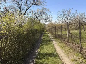 Prodej chaty, Slavkov u Brna, Palackého náměstí, 16 m2