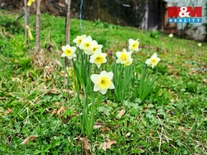 Prodej chaty, Jemnice, 16 m2