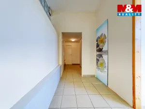 Pronájem obchodního prostoru, Písek, Čechova, 53 m2