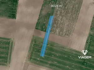 Prodej podílu pole, Trojovice, 4014 m2