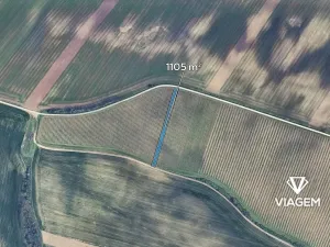 Prodej podílu pole, Šitbořice, 368 m2
