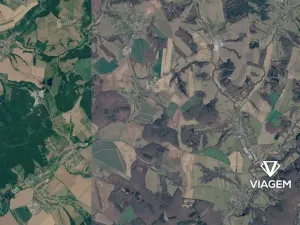 Prodej podílu pole, Dobrkovice, 4471 m2